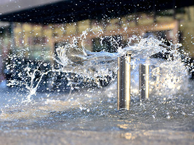 白鹭湖管理区企业风采