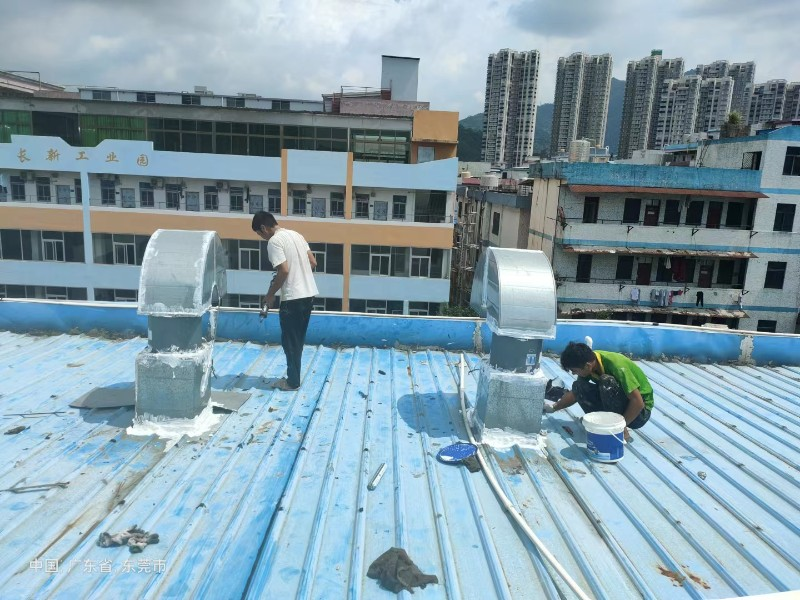 白鹭湖管理区钢结构屋面涂料维修方法