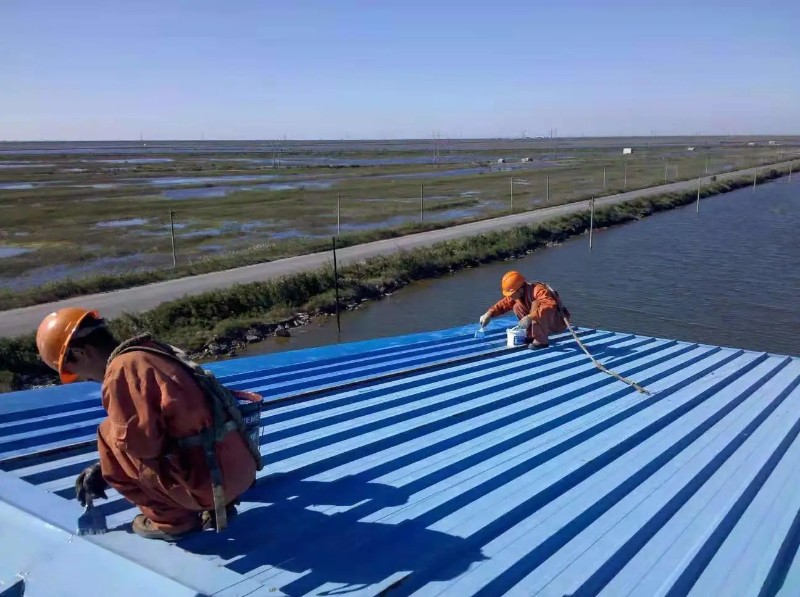 白鹭湖管理区彩钢瓦屋面防腐翻新